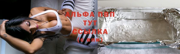 ПСИЛОЦИБИНОВЫЕ ГРИБЫ Михайлов