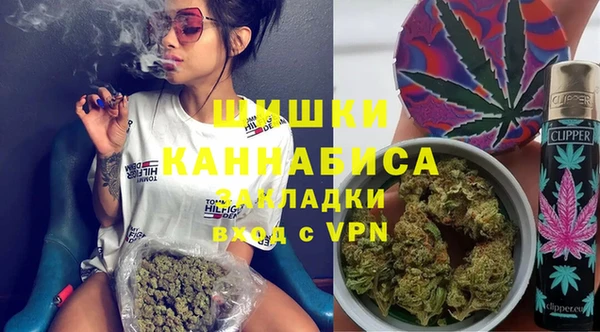 ПСИЛОЦИБИНОВЫЕ ГРИБЫ Михайлов