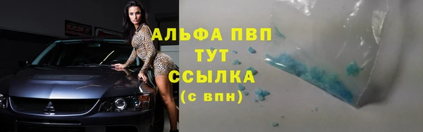 ПСИЛОЦИБИНОВЫЕ ГРИБЫ Михайлов