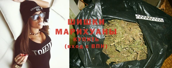 ПСИЛОЦИБИНОВЫЕ ГРИБЫ Михайлов
