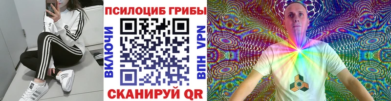 Галлюциногенные грибы Psilocybine cubensis Йошкар-Ола