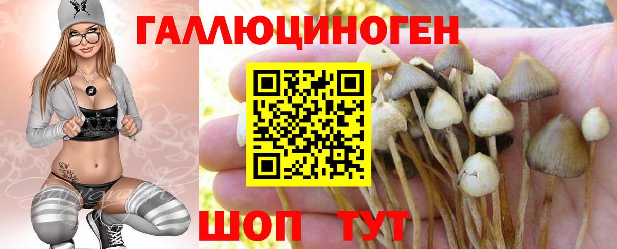 Галлюциногенные грибы GOLDEN TEACHER  Псилоцибиновые грибы Magic Shrooms  Йошкар-Ола  Вход с VPN 
