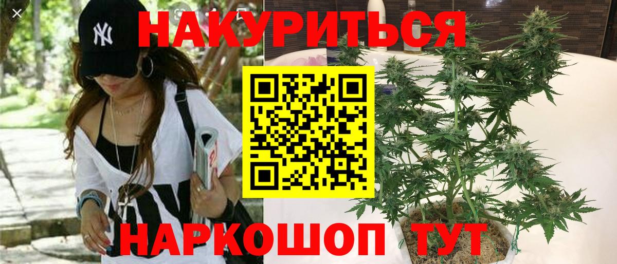 Бошки марихуана LSD WEED  Каннабис индика  Марихуана планчик  Йошкар-Ола  Вход с VPN 